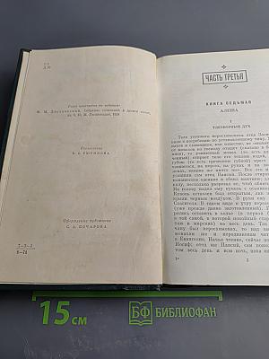 Братья Карамазовы. Части III, IV и эпилог