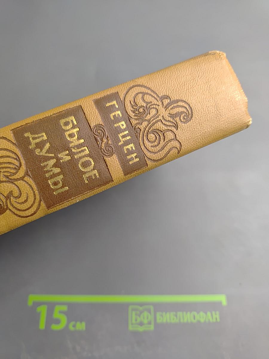 Былое и думы. Части 6-8