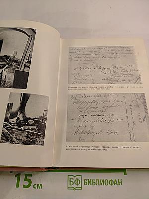 На темной ели звонкая свирель