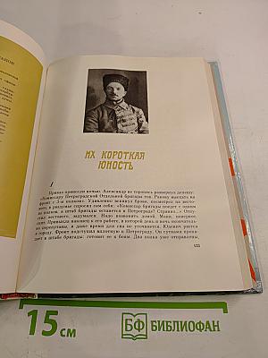 За тебя, Революция. Очерки, рассказы, стихи