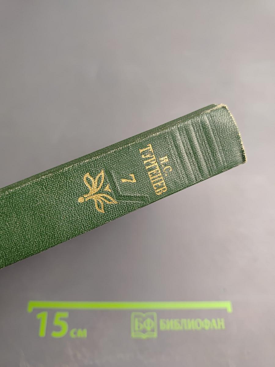 Собрание сочинений Том седьмой. Повести и рассказы 1863–1870 годов