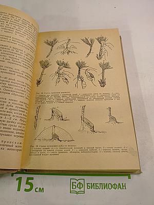 Лесные культуры и мелиорация