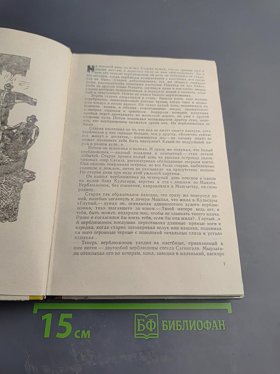 Времена года нашей жизни