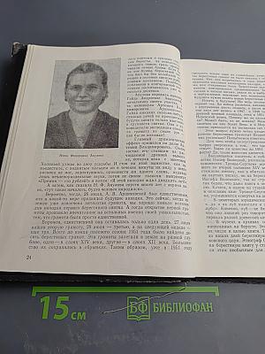 Я послал тебе бересту...