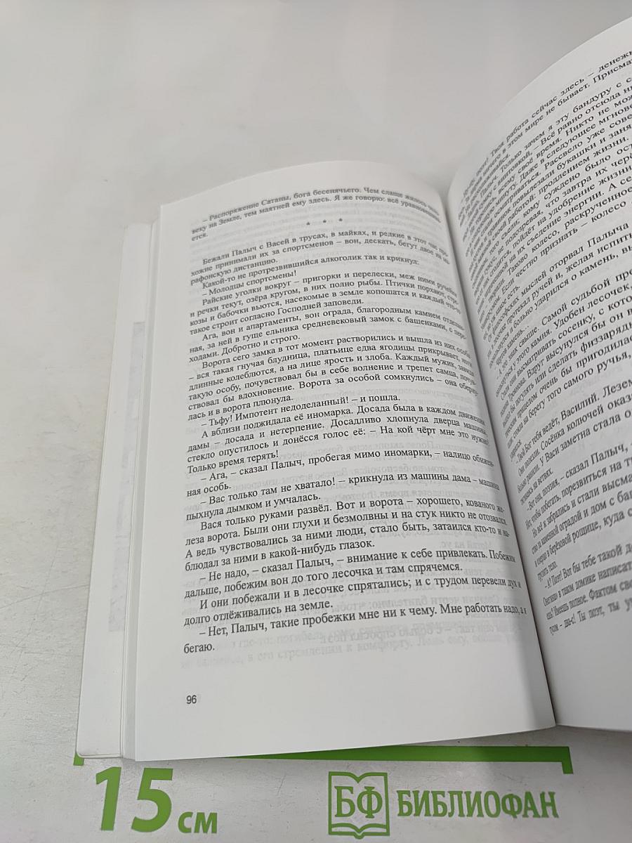 А он винтовочку приладил и...