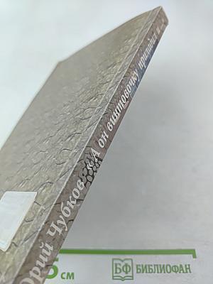 А он винтовочку приладил и...