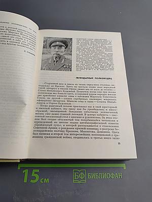 Герои огненных лет. Книга первая