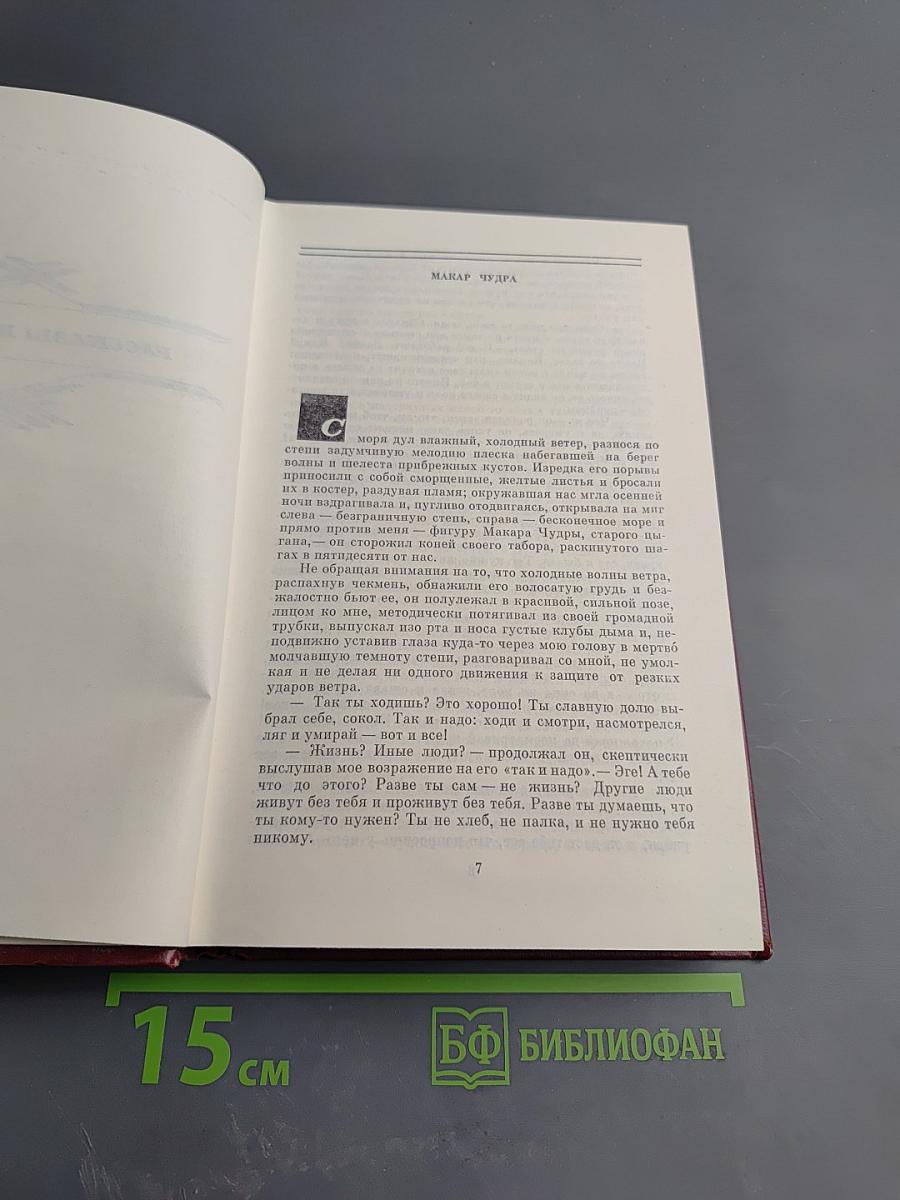Избранные произведения. Том первый. Рассказы и повести.