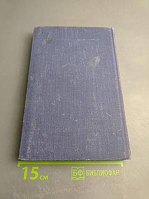 Собрание сочинений. Рассказы 1883-1884. Том 2