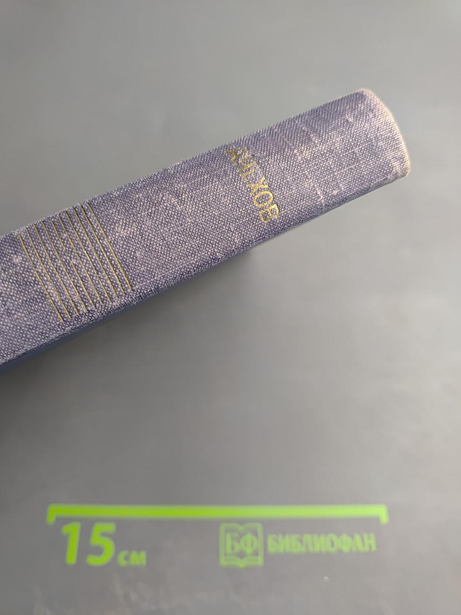 Собрание сочинений. Рассказы 1883-1884. Том 2