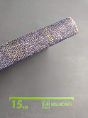 Собрание сочинений. Рассказы 1883-1884. Том 2