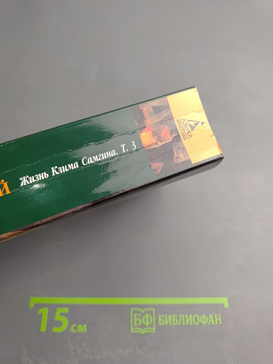 Жизнь Клима Самгина. Том 3