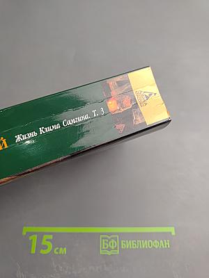 Жизнь Клима Самгина. Том 3