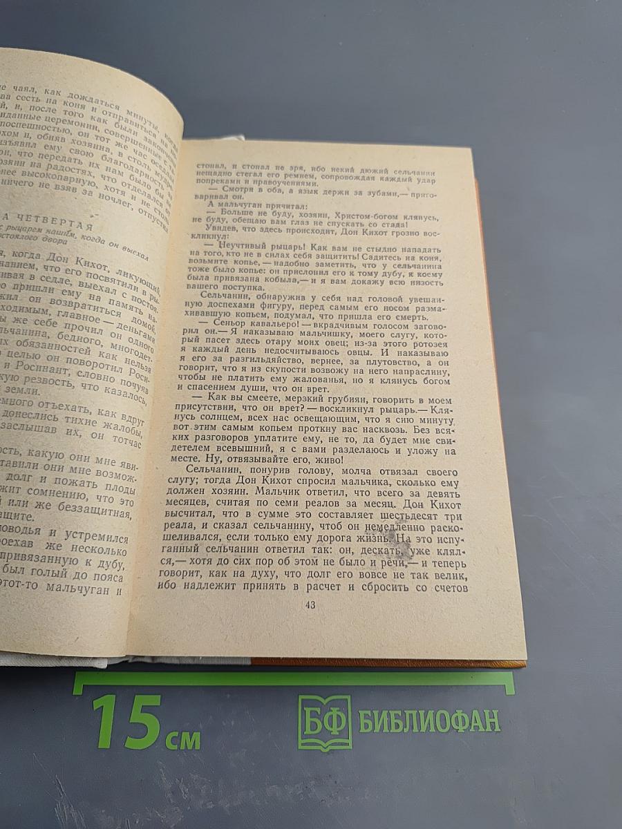 Дон Кихот Ламанчский Часть первая