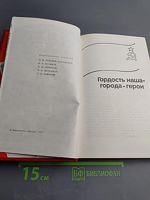 Знамена Победы. Том 2