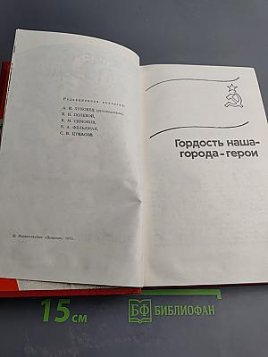 Знамена Победы. Том 2