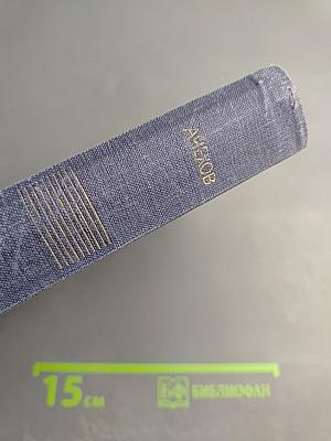 Собрание сочинений. Рассказы 1880-1883. Том 4