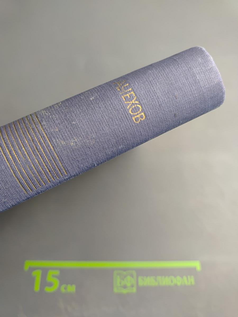 Собрание сочинений. Том 11: Остров Сахалин. Из Сибири. Записные книжки. Дневники