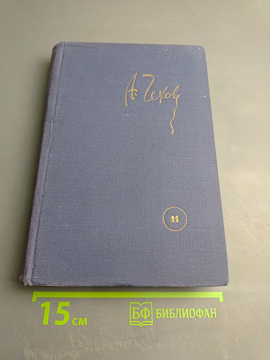 Собрание сочинений. Том 11. Остров Сахалин. Из Сибири. Записные книжки. Дневники