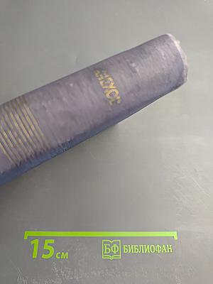 Собрание сочинений. Том 11. Остров Сахалин. Из Сибири. Записные книжки. Дневники