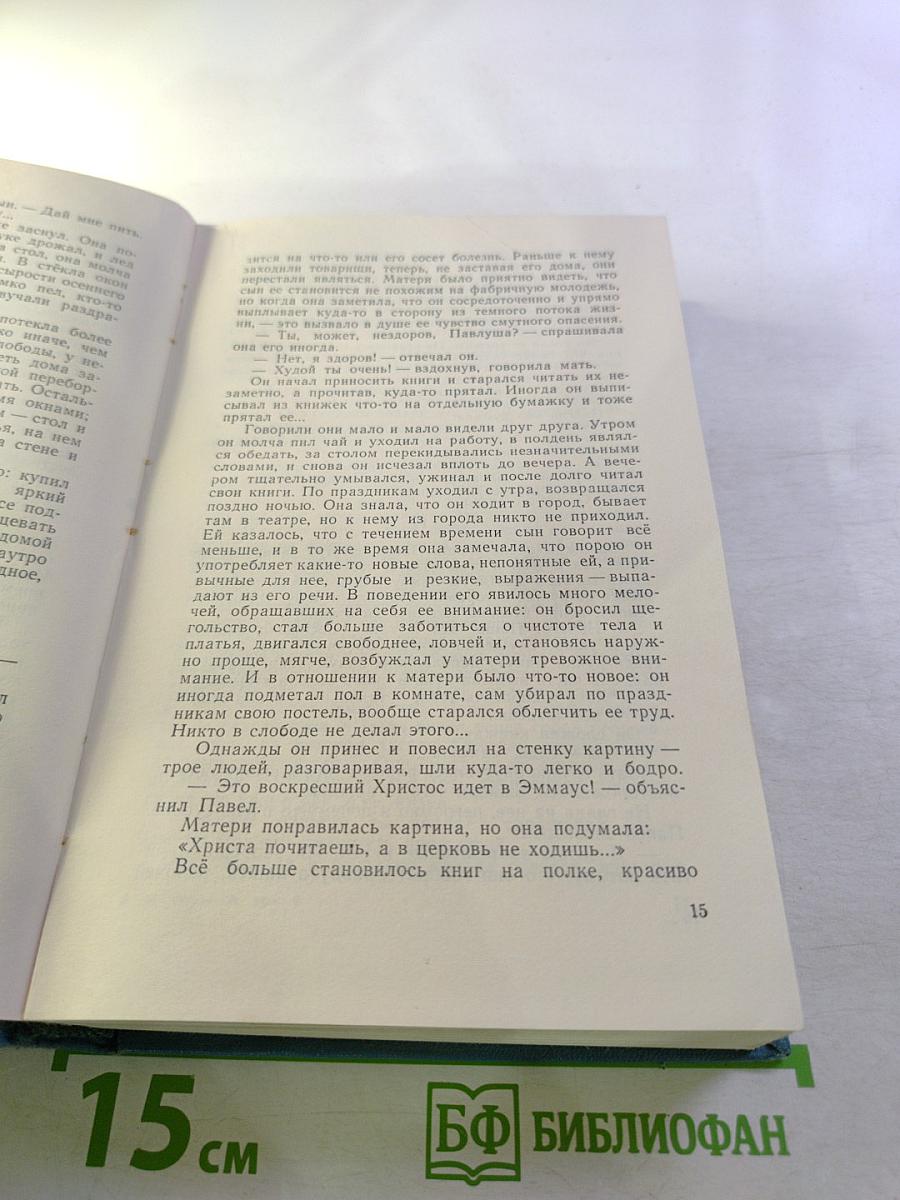 Мать. Дело Артамоновых. Избранные сочинения, Том 2