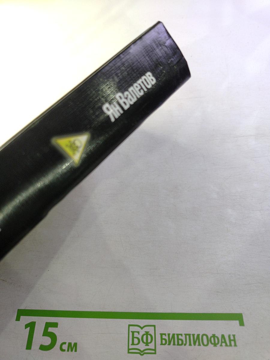 Дети капища