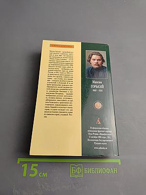 Жизнь Клима Самгина. Том 2