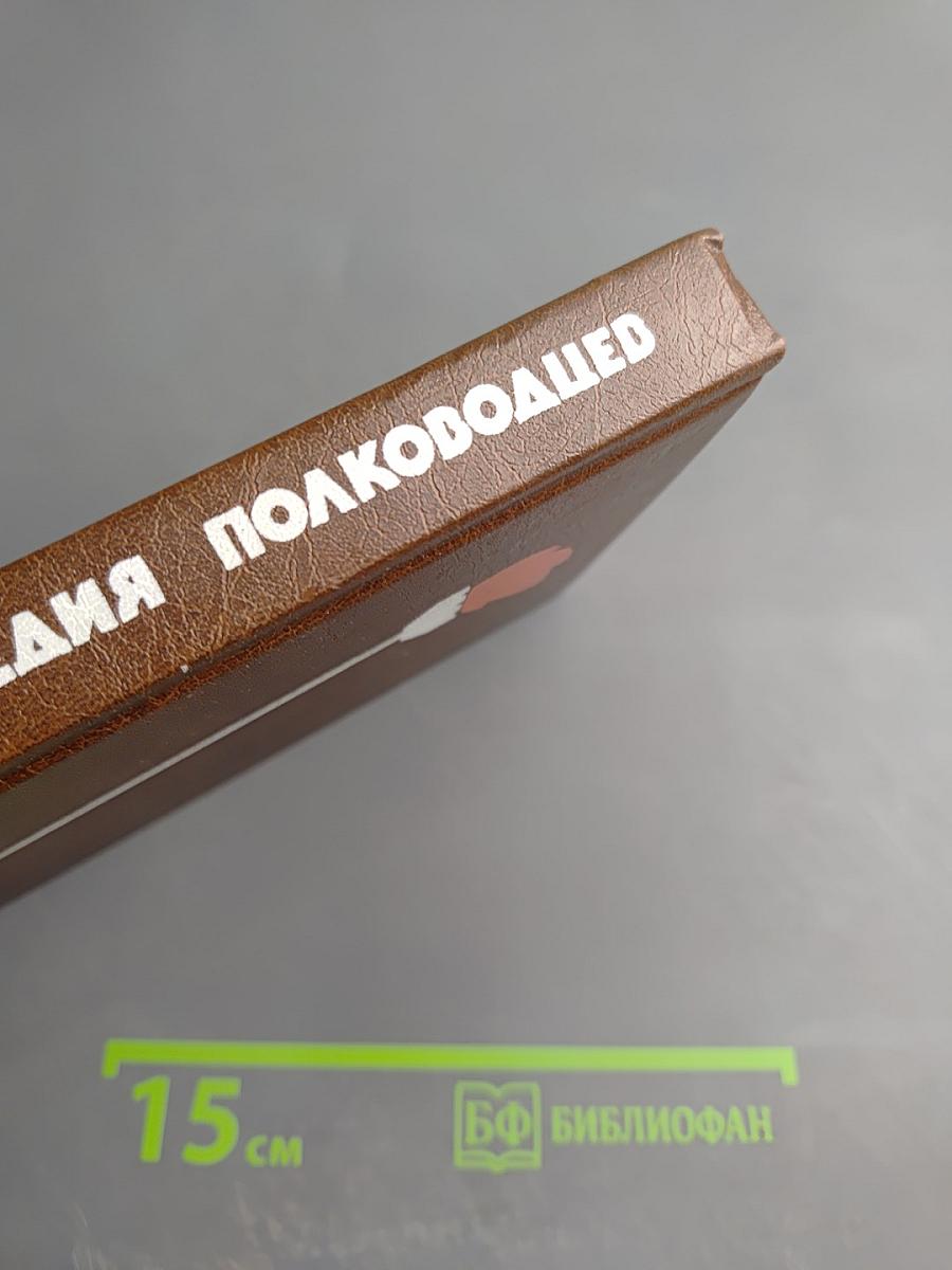 Трагедия полководцев