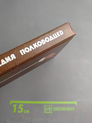 Трагедия полководцев