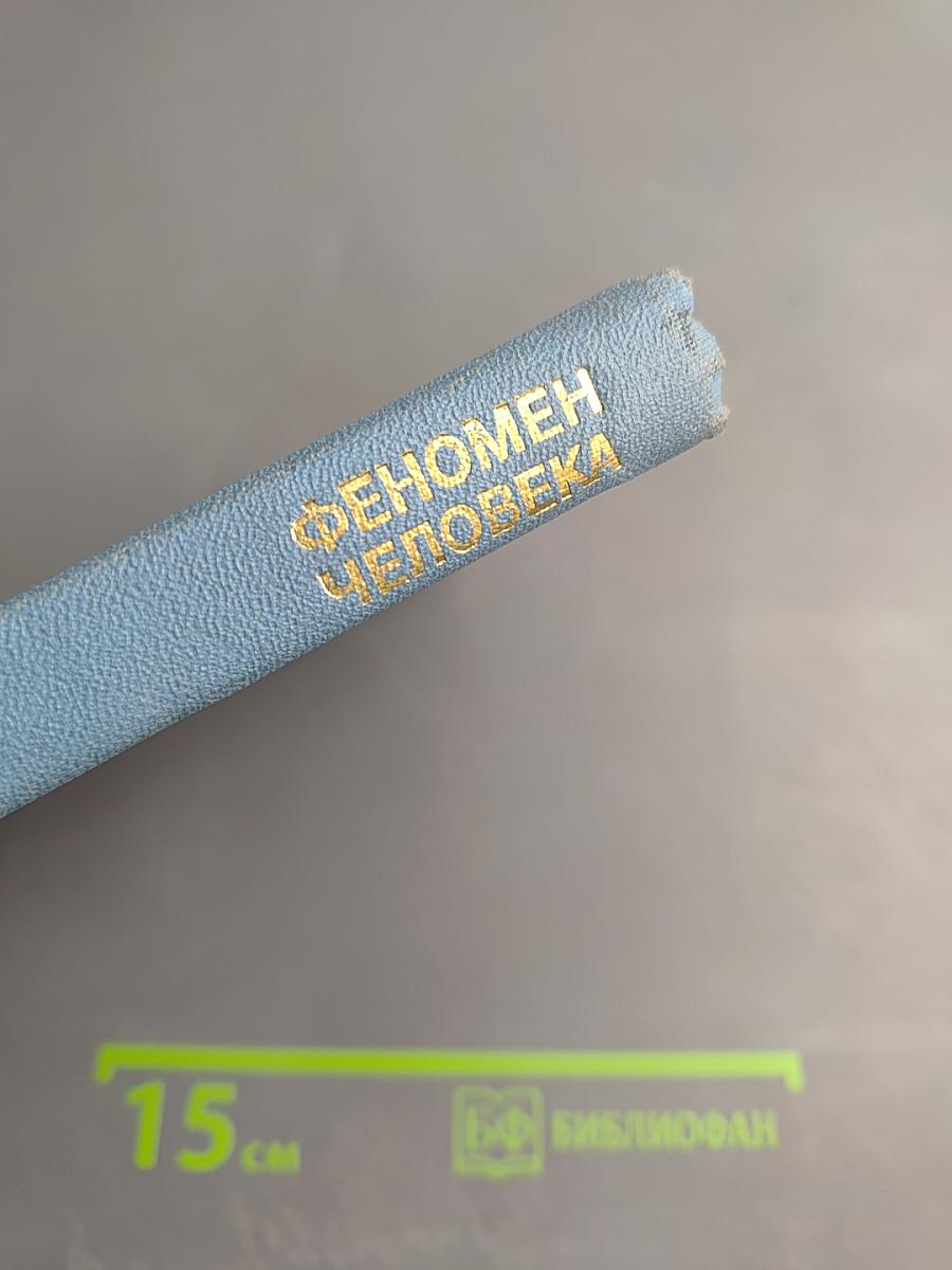 Феномен Человека