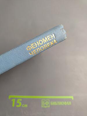 Феномен Человека