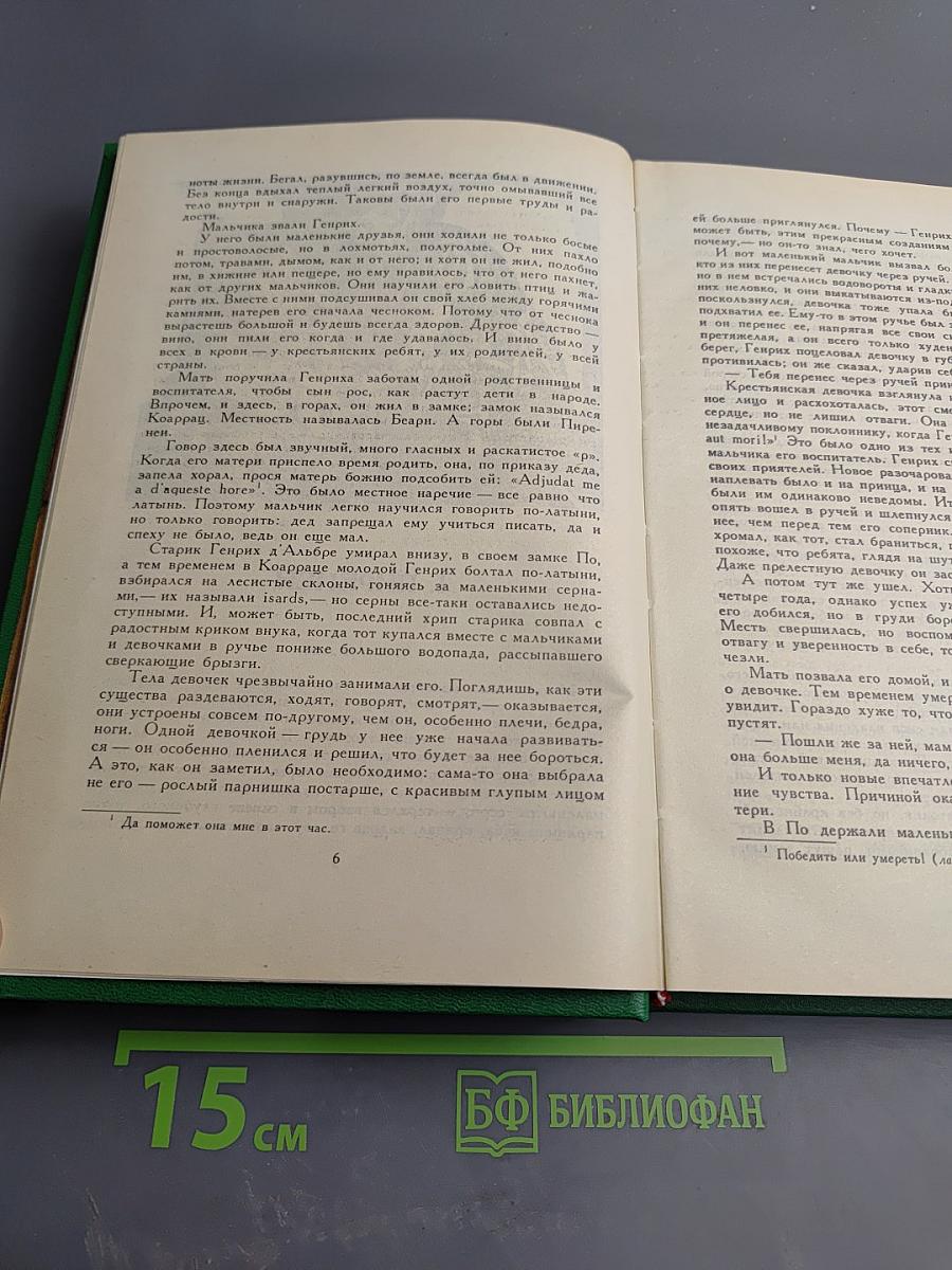 Молодые годы короля Генриха IV