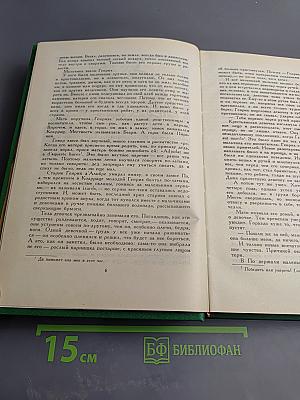 Молодые годы короля Генриха IV