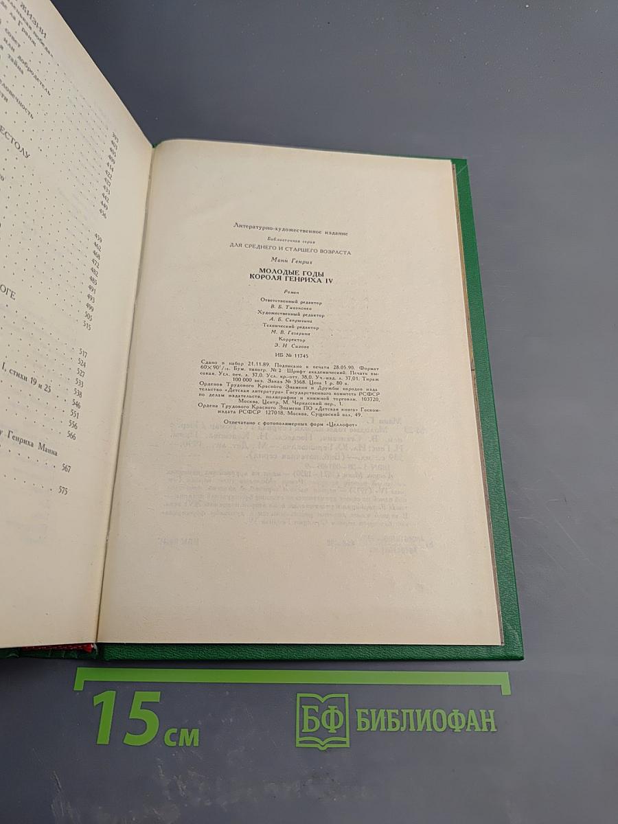 Молодые годы короля Генриха IV