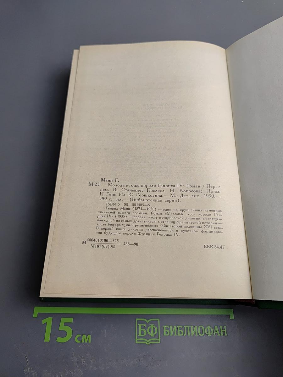 Молодые годы короля Генриха IV