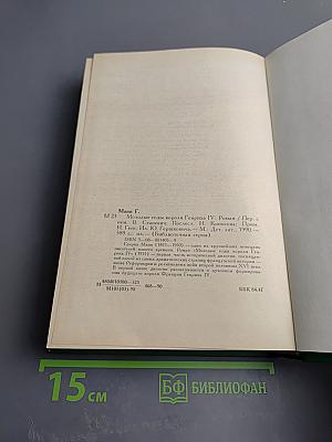 Молодые годы короля Генриха IV