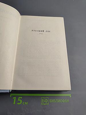 Русский лес