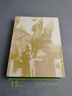 Чекисты Петрограда на страже революции. Книга 1