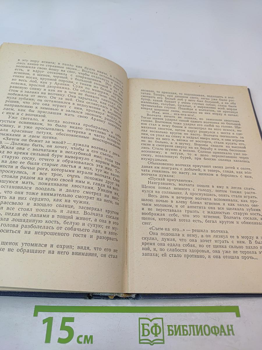 Избранные произведения. Том второй. Повести и рассказы 1888-1896