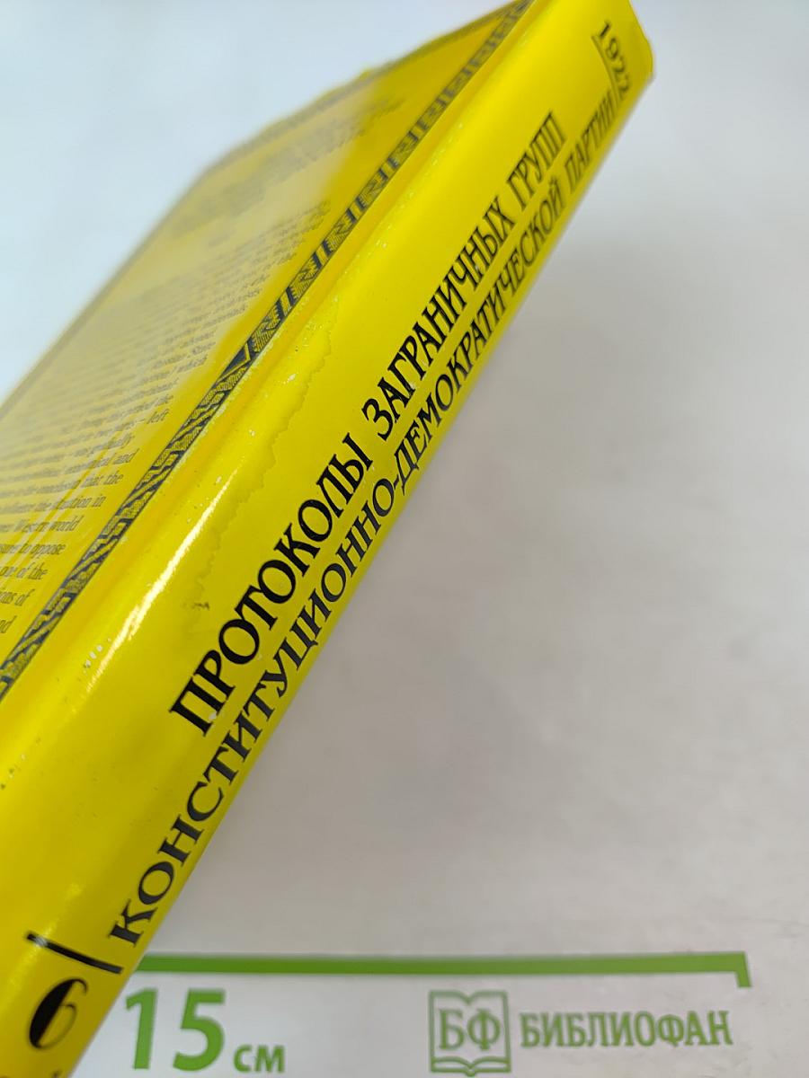 Протоколы Заграничных Групп Конституционно-Демократической Партии. 1922 г. Том 6. Книга 1