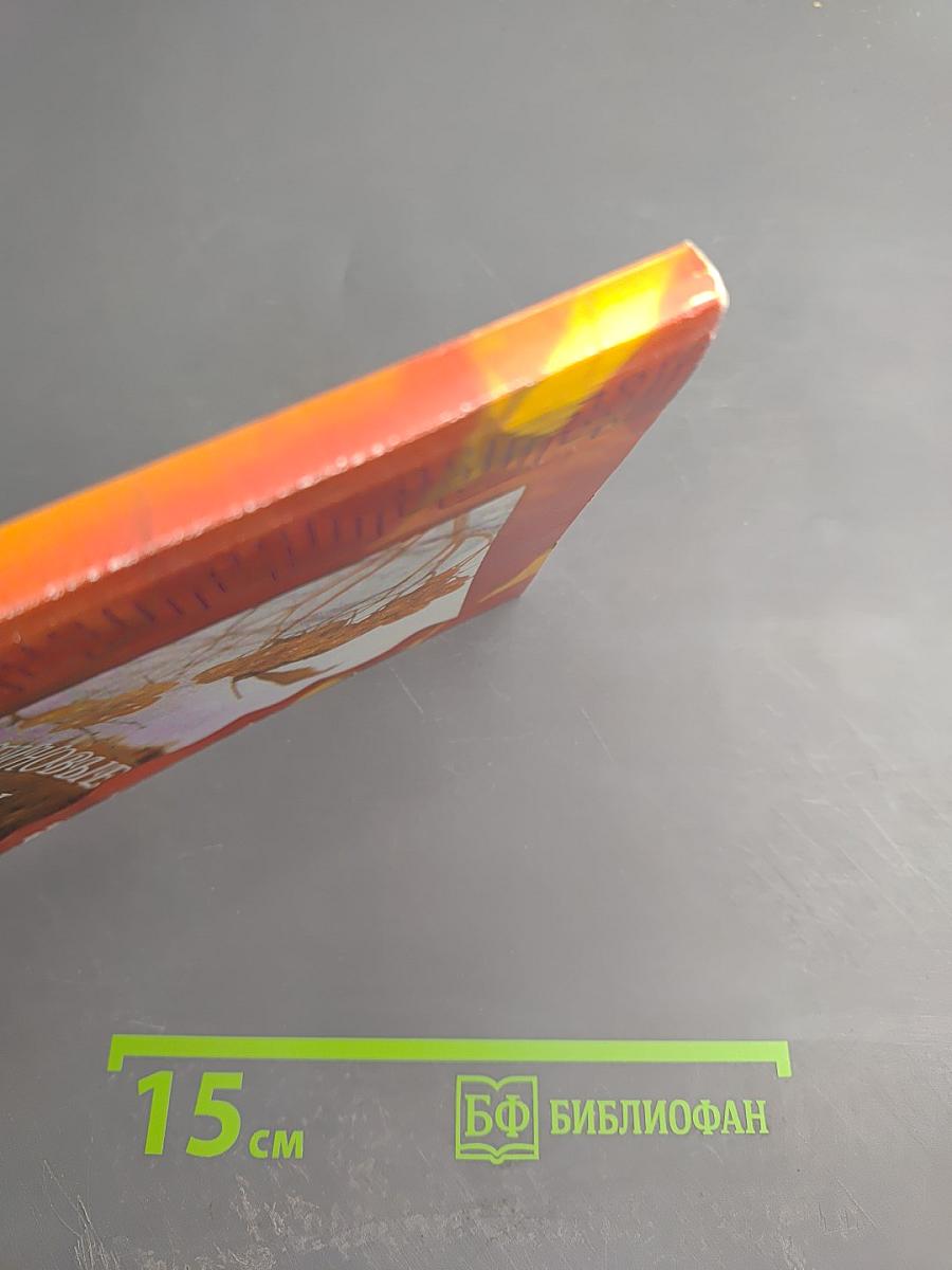 Рябиновые бусы