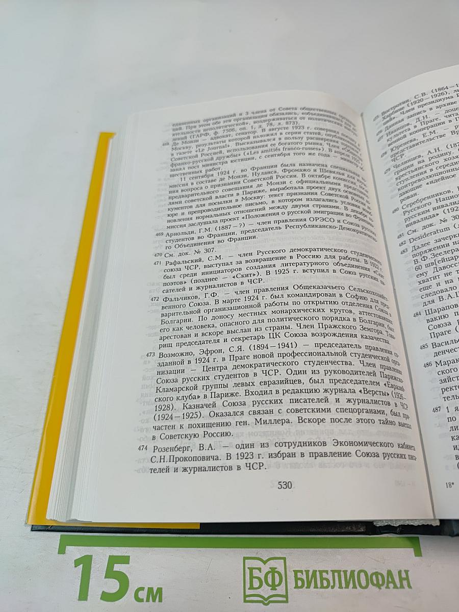 Протоколы заграничных групп Конституционно-демократической партии 1923-1933 гг. Том 6 Книга 2