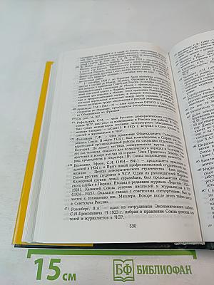 Протоколы заграничных групп Конституционно-демократической партии 1923-1933 гг. Том 6 Книга 2