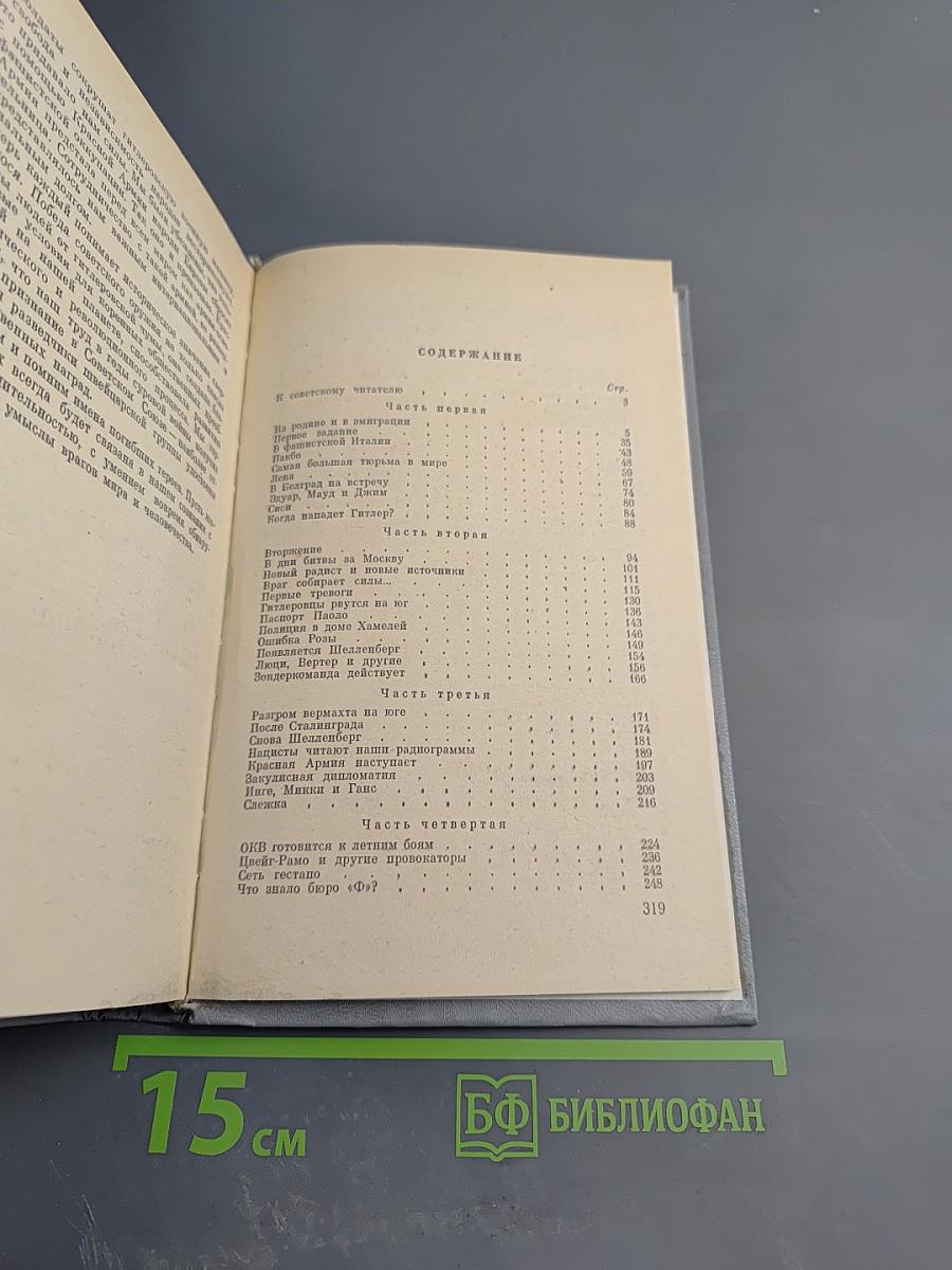 Под псевдонимом Дора