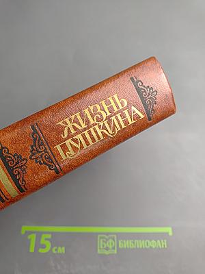 Жизнь Пушкина. Рассказанная им самим и его современниками. Том второй