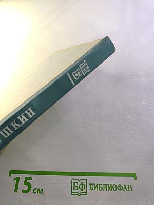 Повести покойного Ивана Петровича Белкина. Капитанская дочка. Дубровский