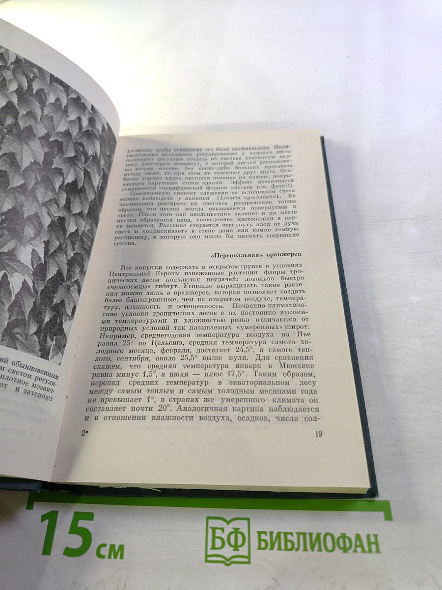 Растения - гениальные инженеры природы