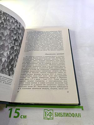 Растения - гениальные инженеры природы