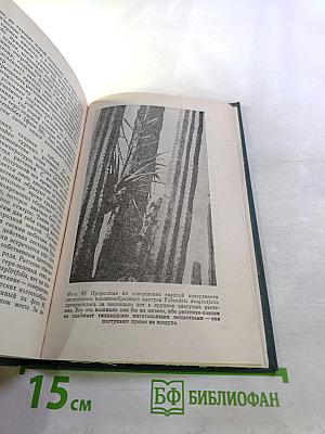 Растения - гениальные инженеры природы