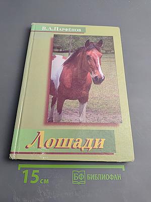 Лошади